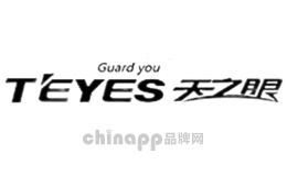 天之眼TEYES