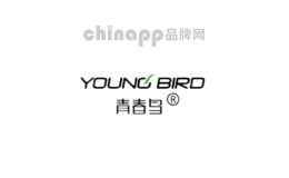 青春鸟youngbird