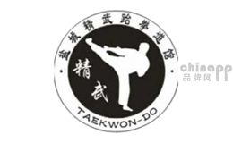 跆拳道十大品牌排名第3名-精武跆拳道