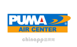 气动工具十大品牌排名第3名-巨霸PUMA