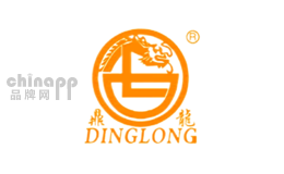 全自动炒菜机十大品牌排名第7名-鼎龙DINGLONG