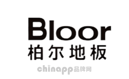 地热地板十大品牌排名第4名-Bloor柏尔