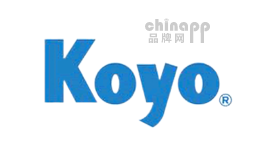 轴承十大品牌排名第6名-KOYO轴承