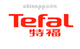 蒸汽熨斗十大品牌排名第5名-特福TEFAL