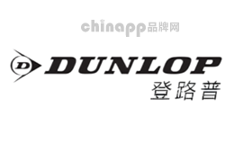 网球十大品牌排名第6名-Dunlop登路普