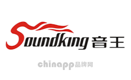 多媒体设备十大品牌-音王Soundking