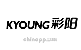 暖手器十大品牌排名第3名-CYOANG彩阳