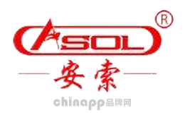 防坠器十大品牌排名第7名-安索ASOL