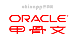 财务软件十大品牌-ORACLE