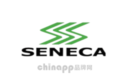 风炮十大品牌排名第7名-西尼卡SENECA