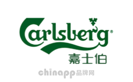 全麦白啤十大品牌排名第4名-嘉士伯Carlsberg