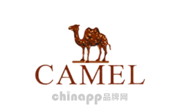 女鞋十大品牌-Camel骆驼