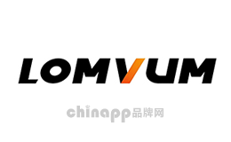 多功能电锤十大品牌排名第6名-龙韵LOMVUM