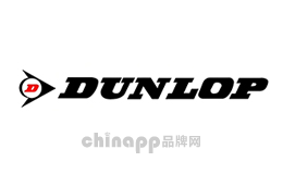 雪地胎十大品牌-邓禄普DUNLOP