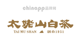 太姥山白茶