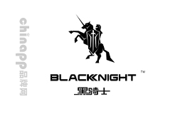 黑骑士Black Knight